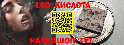 гидропоника Будённовск