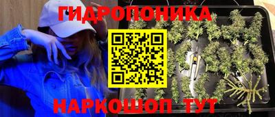 гидропоника Будённовск