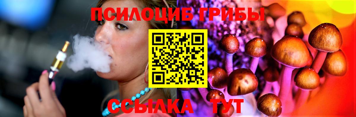 Галлюциногенные грибы MAGIC MUSHROOMS  Вход с VPN  Тихвин 